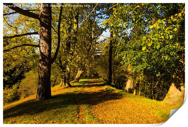  Autumn footpath English Country Park Print by Peter Jordan