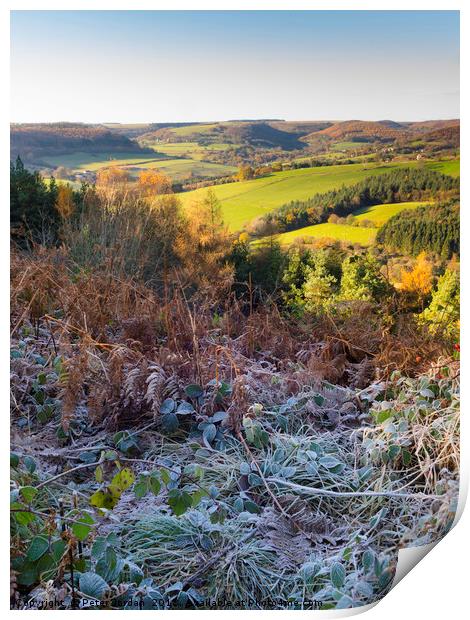 Countryside in Bilsdale near Helmsley in the North Print by Peter Jordan