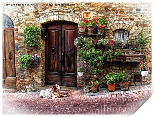 San Gimignano Dog Print by Robert Murray
