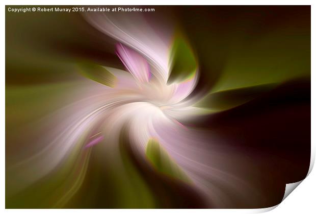  Floral Abstract 2 Print by Robert Murray