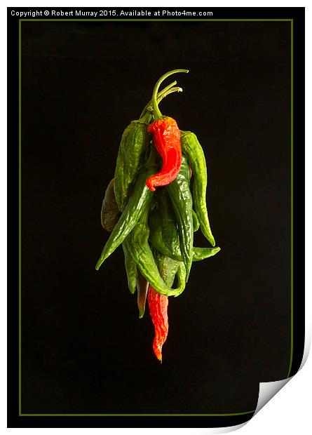  Drying the Chillies Print by Robert Murray