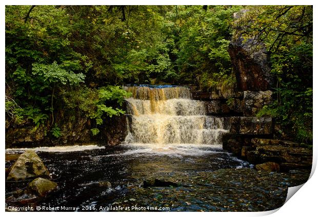 Bowlees Beck Print by Robert Murray