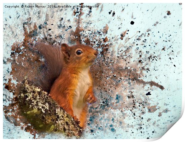 Red Squirrel in Danger Print by Robert Murray