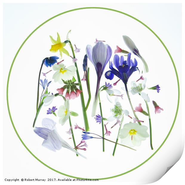 Spring Flowers Print by Robert Murray