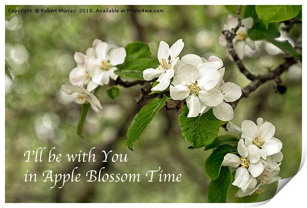 Apple Blossom Time Print by Robert Murray