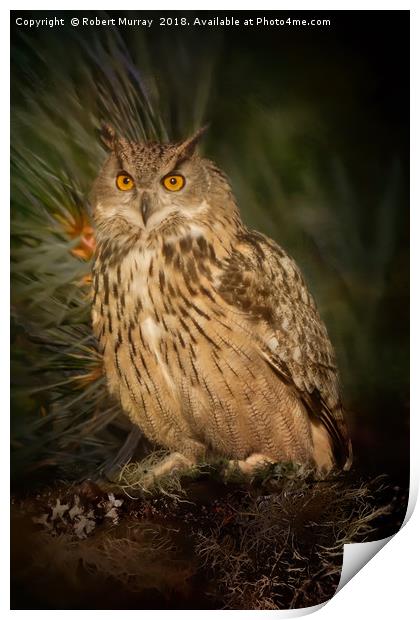 Eagle Owl Print by Robert Murray