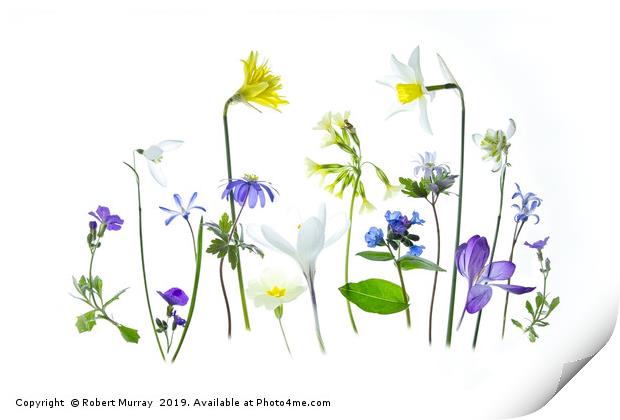 Springtime Print by Robert Murray