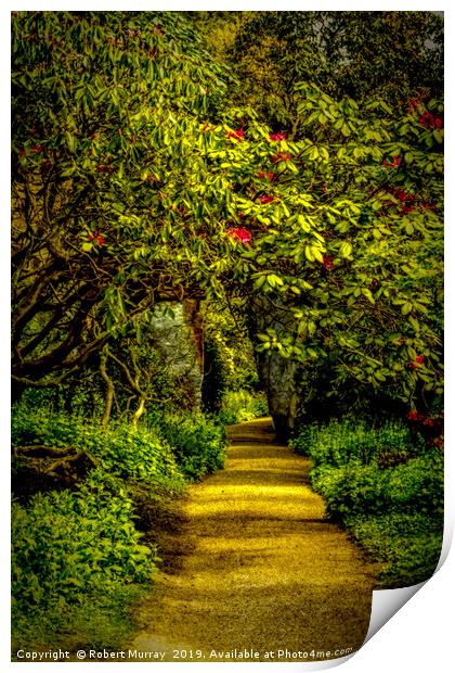 Sun-dappled Rhododendron Path Print by Robert Murray