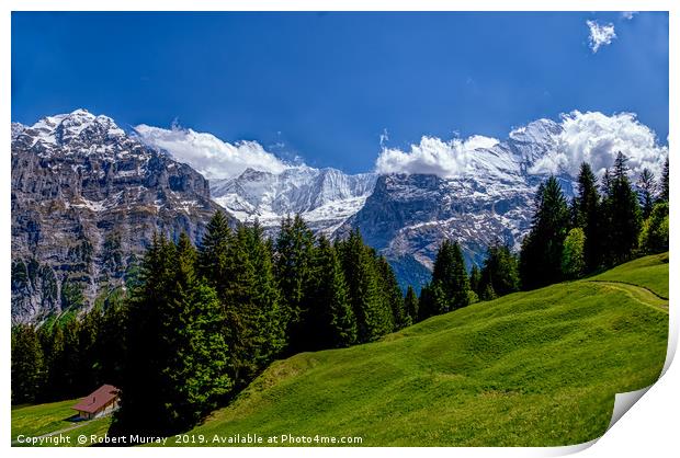  Alpine Meadow with Mettenberg and the Eiger Print by Robert Murray