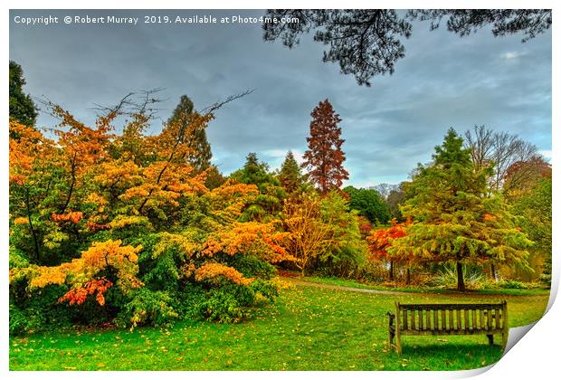 Bench with Autumn Trees Print by Robert Murray