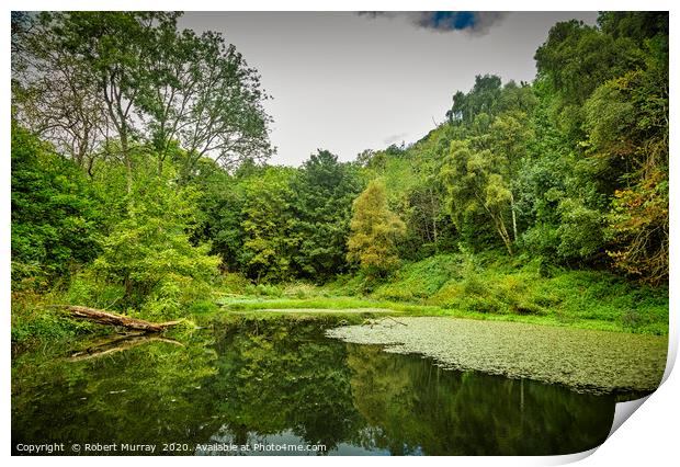 Reflections on a Lily Pond Print by Robert Murray