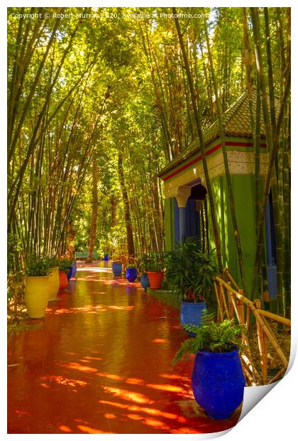 In the Jardin Marjorelle, Marrakesh. Print by Robert Murray