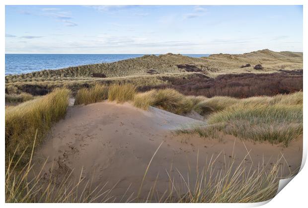 Formby sand dunes seascape Print by Jason Wells