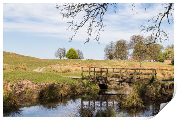 Footbridge over a stream Print by Jason Wells