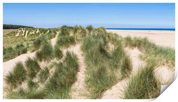 Sand dunes on Holkham beach Print by Jason Wells