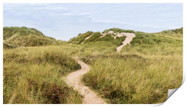 Bending trail through the sand dunes Print by Jason Wells