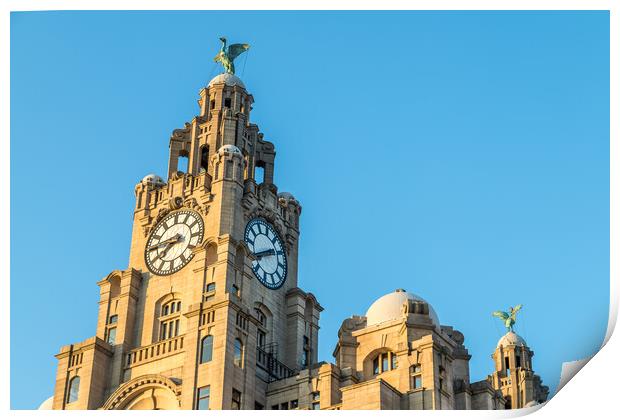 Liver Birds above Liverpool Print by Jason Wells