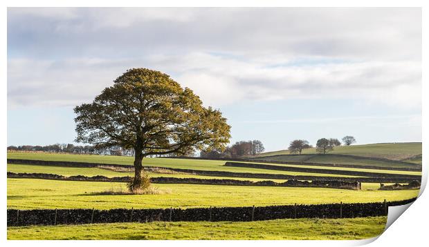 Derbyshire Dales landscape Print by Jason Wells