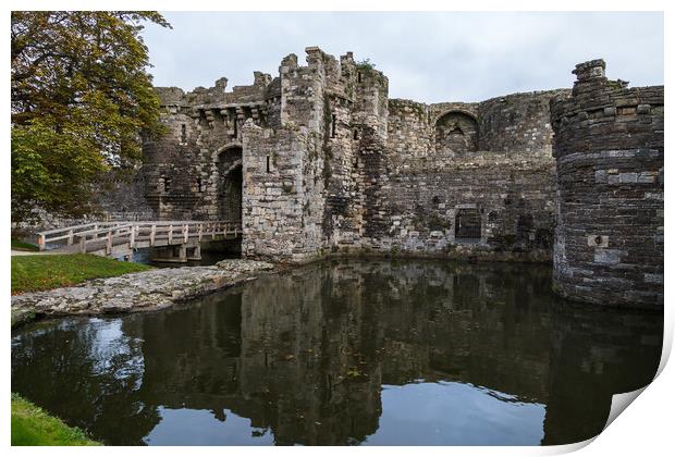 Moat around Beaumaris Castle Print by Jason Wells