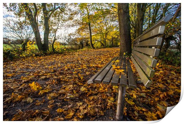 Silver bench on the golden leaves Print by Jason Wells