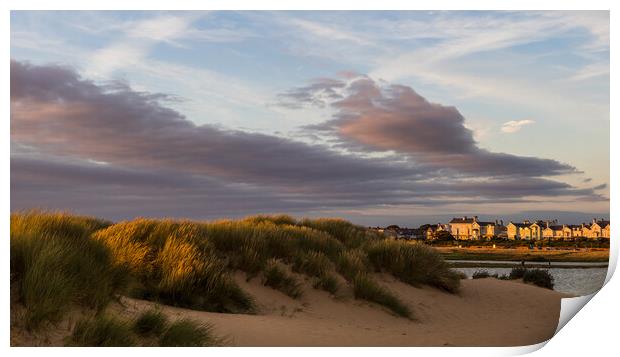 Sand dunes between Crosby beach and the marina Print by Jason Wells