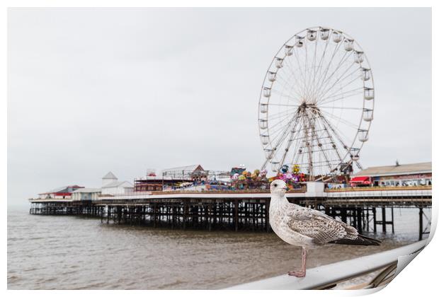 Sea gull pictured in front of Central Pier on Blackpool beach Print by Jason Wells