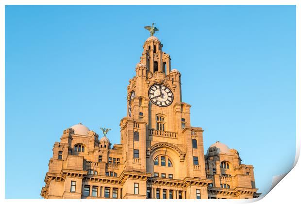 Liver Birds standing proudly Print by Jason Wells