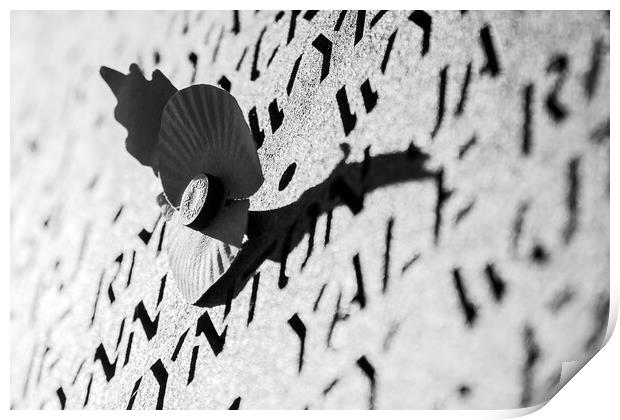 Poppy in black and white Print by Jason Wells