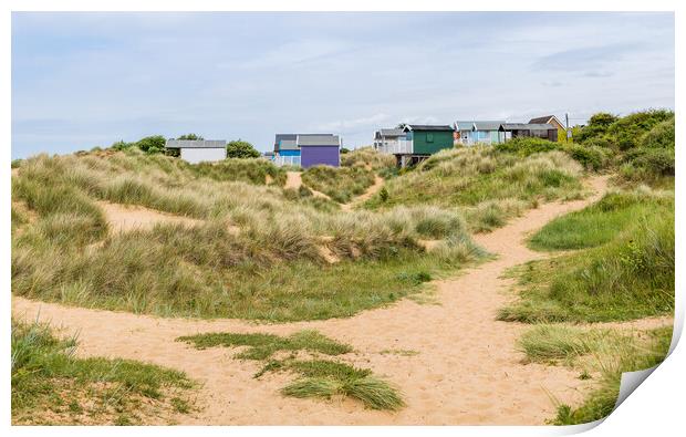 Beach huts nestled in the sand dunes at Hunstanton Print by Jason Wells