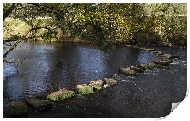 Stepping stones span the River Derwent Print by Jason Wells
