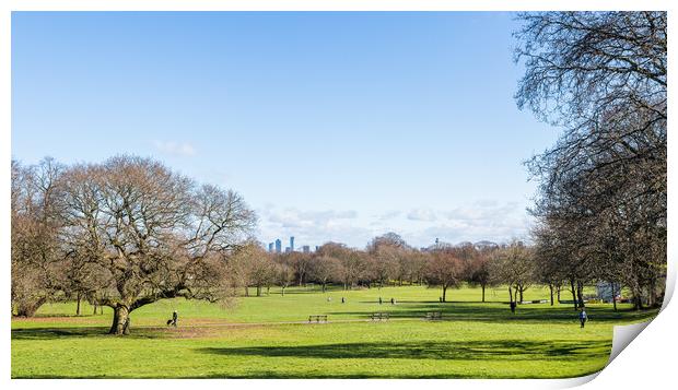 Birkenhead Park panorama Print by Jason Wells