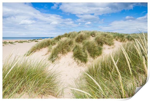 Holkham beach sand dunes Print by Jason Wells
