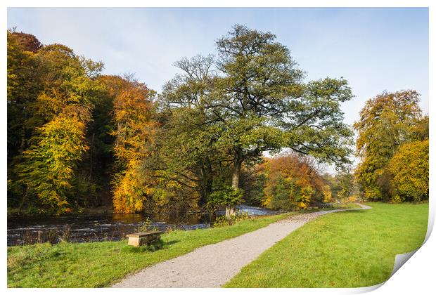 Pathway along the Wharfedale Valley Print by Jason Wells
