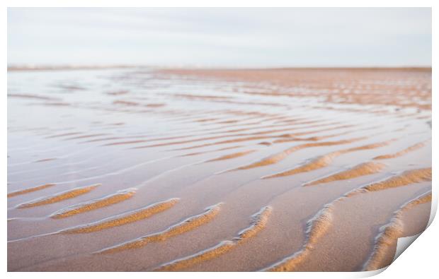 Water caught between sandy ripples Print by Jason Wells