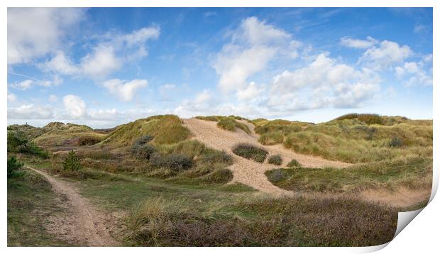 Formby sand dunes panorama Print by Jason Wells