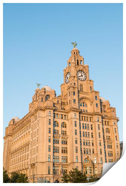 Golden light falling on the Liver Building Print by Jason Wells