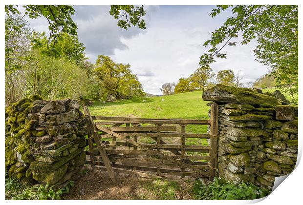 Traditional wooden gate between stone walls in the Lake District Print by Jason Wells