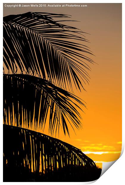 Silhouette of palm leaves Print by Jason Wells