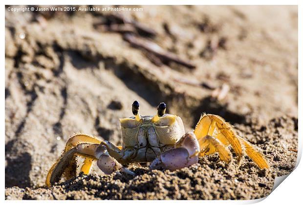 Sand crab searching the beach for food Print by Jason Wells