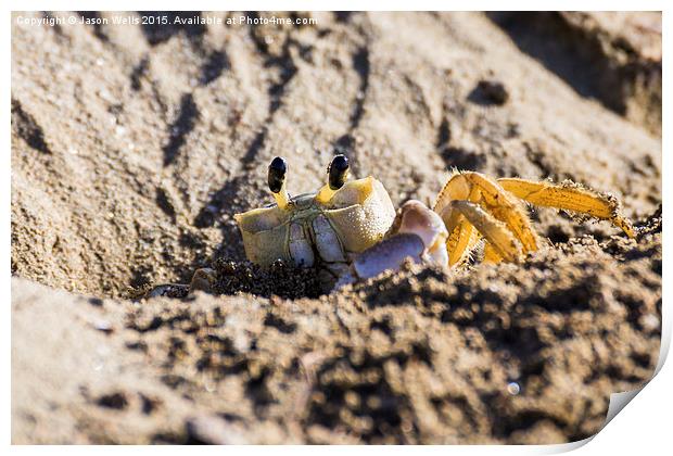 Crab going back into its burrow Print by Jason Wells