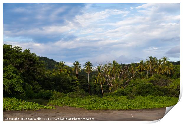 Lush green landscape meets the Pacific Ocean Print by Jason Wells