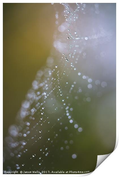 Looking through a damp cobweb Print by Jason Wells