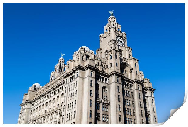 Royal Liver Building under a blue sky Print by Jason Wells