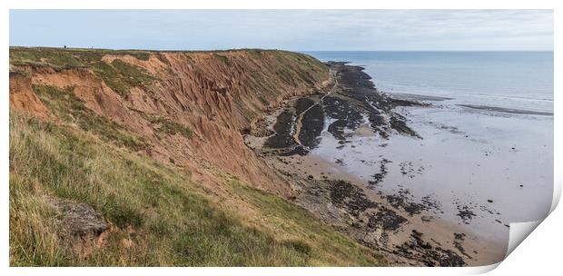 Filey Brigg cliffs and rock pools Print by Jason Wells