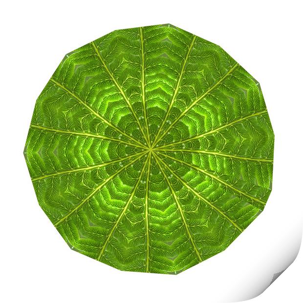Circular composite of fern leaf Print by Ivan Kovacs