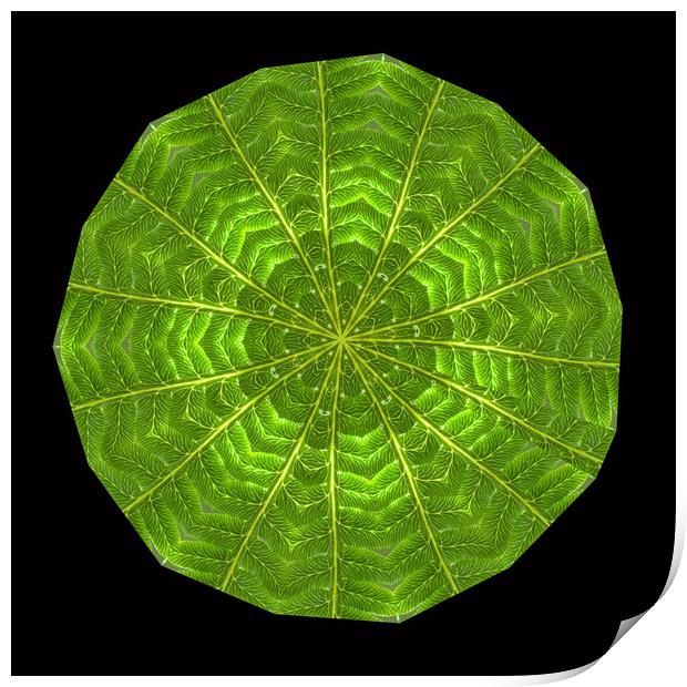 Circular composite of fern leaf. Print by Ivan Kovacs