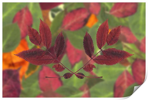 Autumn Red Print by Ivan Kovacs