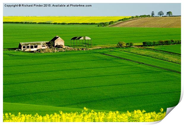 East Yorkshire Wolds Print by Richard Pinder