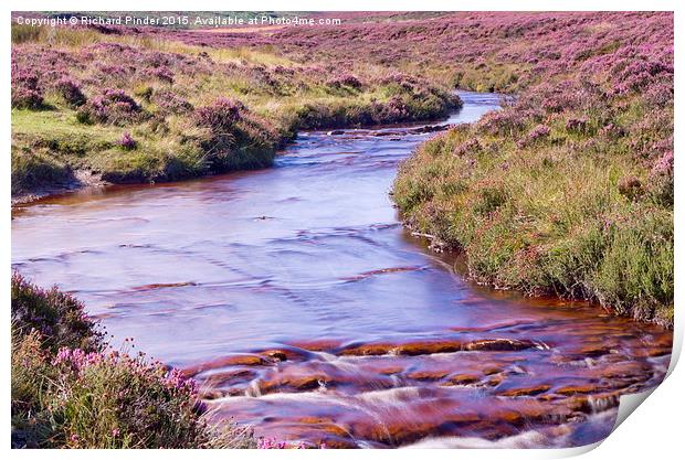  Wheeldale, North York Moors Print by Richard Pinder