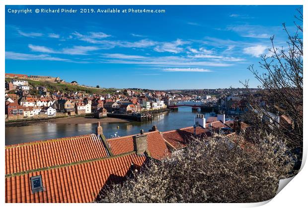 Whitby Harbour Print by Richard Pinder